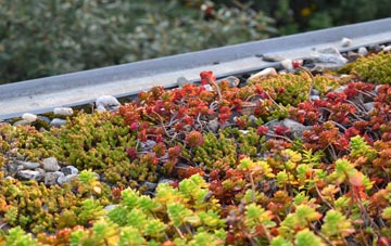 the cost of Britford green roof installation